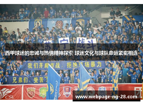 西甲球迷的忠诚与热情精神探索 球迷文化与球队命运紧密相连